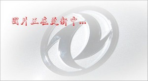 ���ǰ�ĺ�˸��g����Ʒ��ʽ�\(y��n)ݔ܇